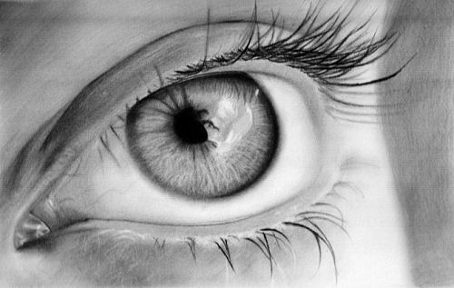 超写实的眼睛铅笔画特写