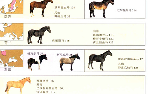 《全世界100多种马匹的彩色图鉴》画集